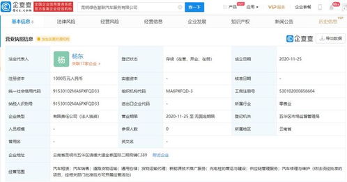 吉利關聯企業布局新能源技術推廣，加速綠色出行生態建設